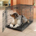 Dog Crates Kennels